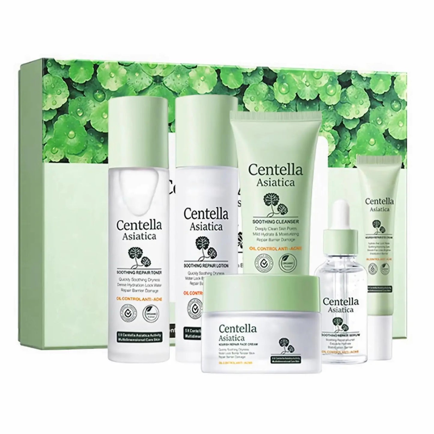 6-Piece Essential Skincare Set for Women with Natural Extracts